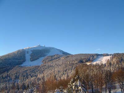 arber-winter-1