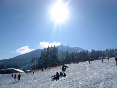 arber-winter-3